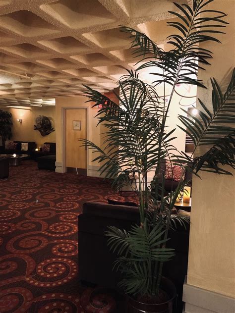 Tranquility Spa Updated February 2025 12 Photos And 129 Reviews 917
