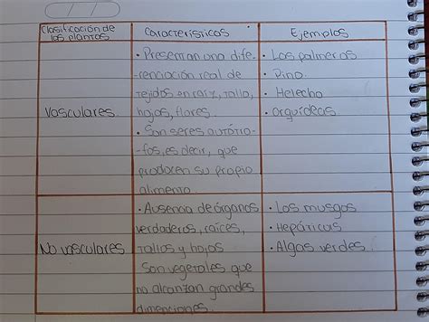 Completa El Cuadro Comparativo Image To U