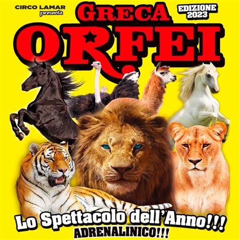 Circo Greca Orfei A Cesena Sconti Online Biglietti