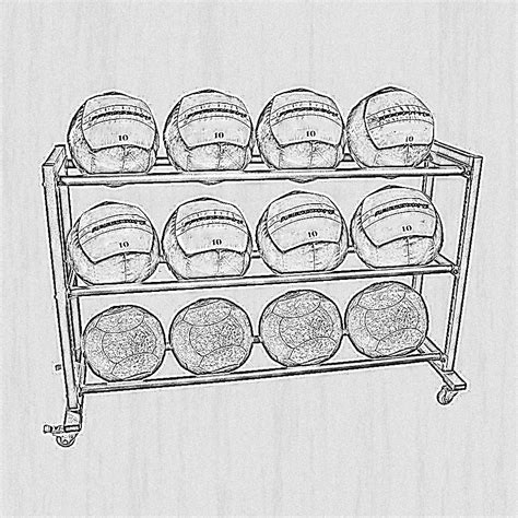 Medicine Ball Rack Tier Powerrackking