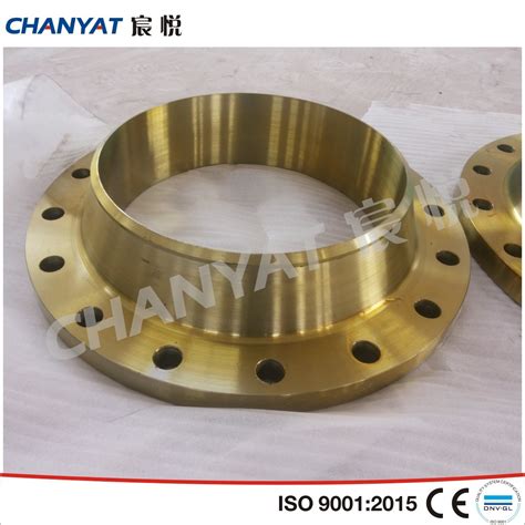 Nickel Alloy Weld Neck Flange B626 Uns N10276 Hastelloy C276 China