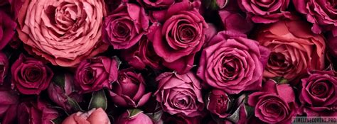 Light Pink and Dark Pink Roses Flowers Facebook Cover Photo