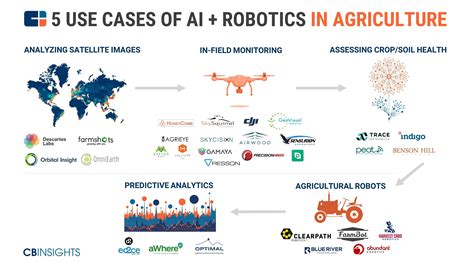 5 Use Cases For Ai And Robotics In Agriculture Agritech Iot