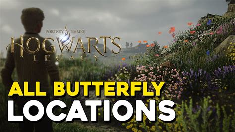 Hogwarts Legacy All Butterfly Locations Youtube