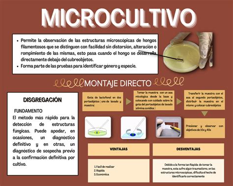 Parte 1 Microcultivo Descripción de las características VENTAJAS