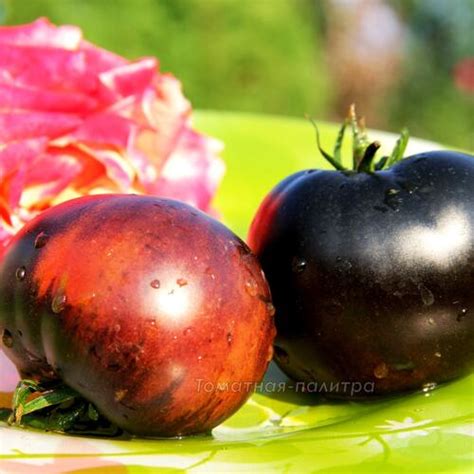 Главная - tomatnaya-palitra.ru