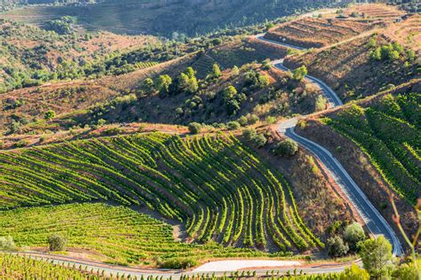 Guide to Priorat: Learn About the Spanish Priorat Wine Region - 2022 ...