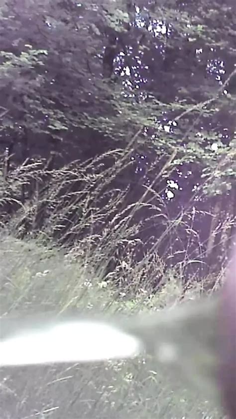 Big Cock Outdoors Pisses French Gay Voyeur Voyeur Porn Xhamster