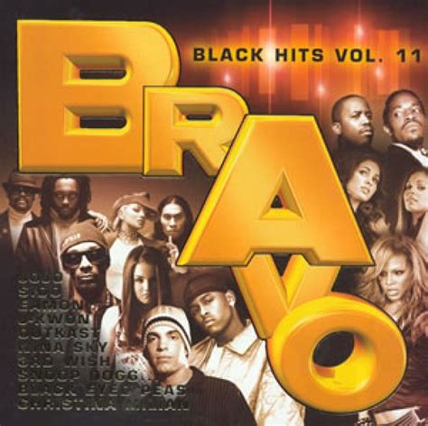 Bravo Black Hits Vol Hitparade Ch