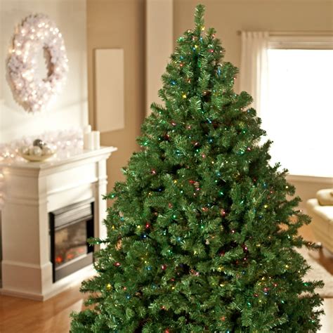 real xmas tree for sale near me 2