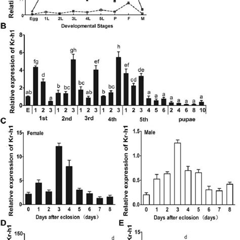 Gene Identification Of Helicoverpa Armigera Kr€ Uppel Homolog 1