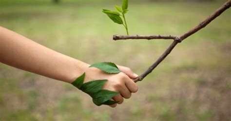 La Importancia De Cuidar La Naturaleza