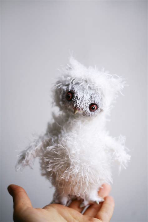 Albino Baby Owl By Da Bu Di Bu Da On Deviantart