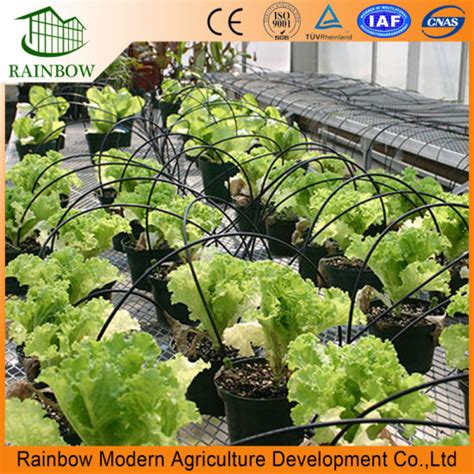 China Irrigation Sprinkler System for Greenhouse Irrigation - China Glass Greenhouse and ...