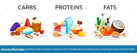 Balance Food Diet Fats Or Proteins Carbs Meal Vegetable And