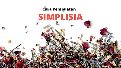 simplisia proses pembuatan simplisia lengkap