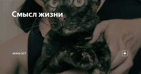 Смысл жизни | Анна Ост | Дзен