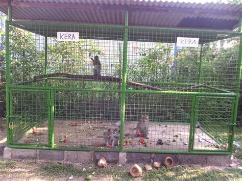 Selvy Erline Memancing Sambil Makan Lesehan Di Rumah Makan Mang Ajo