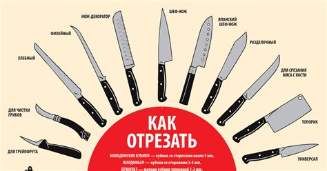 Виды кухонных ножей | Пикабу