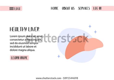 Human Liver Hepatology Diagnosis Liver Diseases Stock Vector (Royalty Free) 1891544698 ...