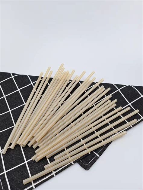 Buy Disposable Pla Bagasse Straw From Changzhou Mangrove International