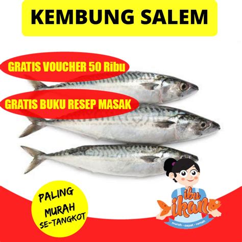 Jual Ikan Kembung Salem Gram Hasil Laut Segar Frozen Shopee Indonesia