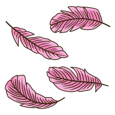 Diseños Png De Pluma De La Pluma Para Camisetas And Merch