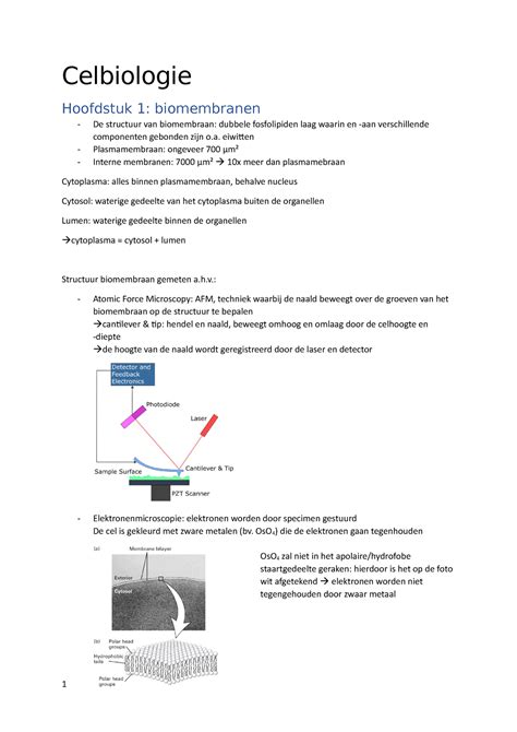 Celbiologie Samenvatting Hoofdstuk En Voets Celbiologie Hoofdstuk