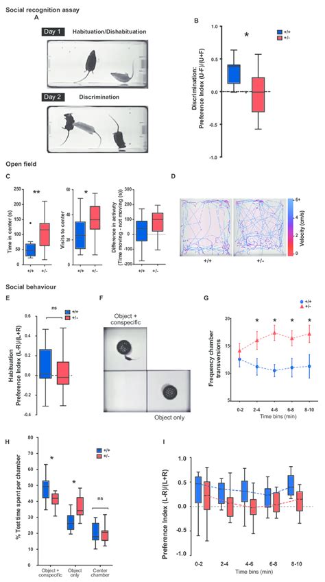 Figure S4 Cognitive And Behavioral Phenotyping Of Bcl11a Mice