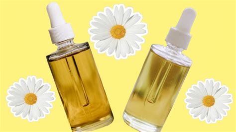 2 Aceites Esenciales Antienvejecimiento Que Debes Usar Para Obtener Colágeno Natural Enterate