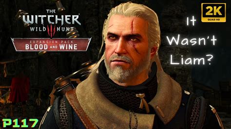 THE WITCHER 3 Wild Hunt Wine Wars The Deus In The Machina Part 117