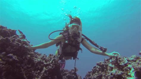 Scuba Dive Off Waikiki Oahu Youtube