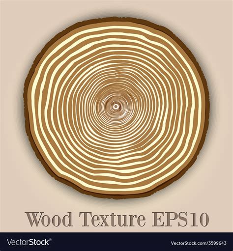 Tree Ring Texture