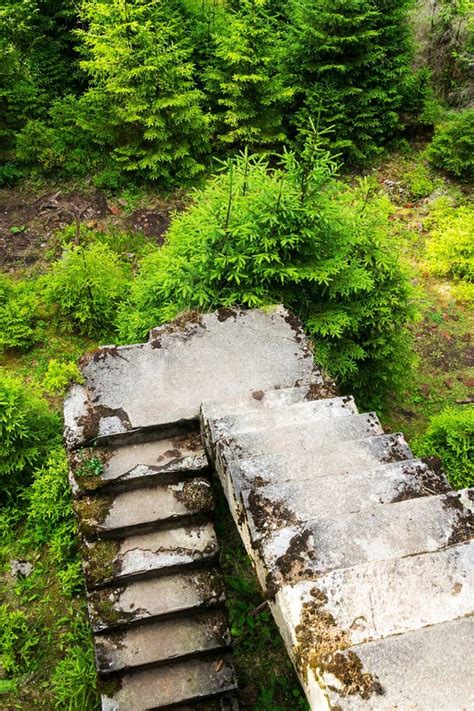 Concrete Stairs Tin Mine Rolava Prison Camp Sauersack Czech Republic