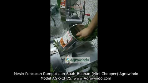 Mesin Pencacah Rumput Mini Mini Chopper Agrowindo Type AGR CH75 YouTube