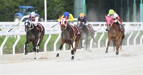 1230（金）園田1r【推奨度ss】｜ビヨンドザマックス【意味限界を超えて競馬を予想】｜note