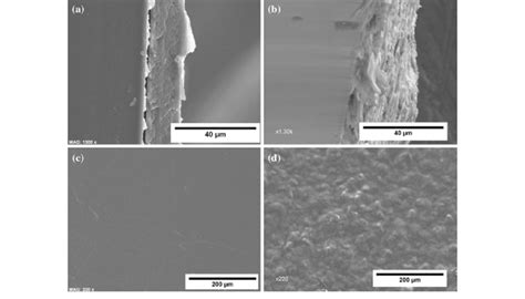 SEM Images Of A Cross Section Of PEDOT PSS B Cross Section Of