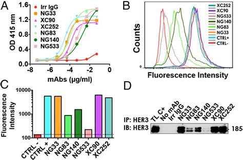 Examination Of Her3 Targeting In Cancer Using Monoclonal Antibodies Pnas