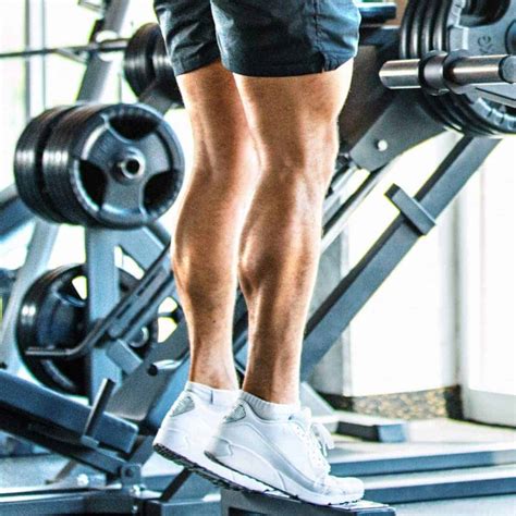 How To Do Calf Raises Next Level Gents