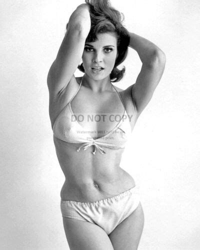 RAQUEL WELCH ACTRESS AND SEX SYMBOL PIN UP 8X10 PUBLICITY PHOTO