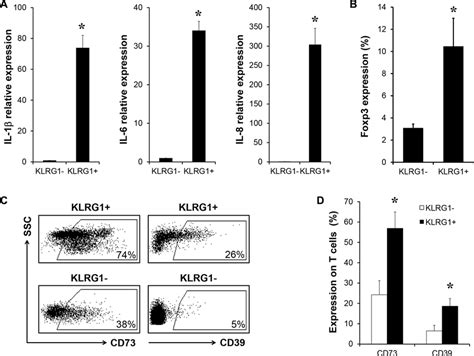 KLRG1 T Cells Contributed To The Immunosuppressive Network In Tumor