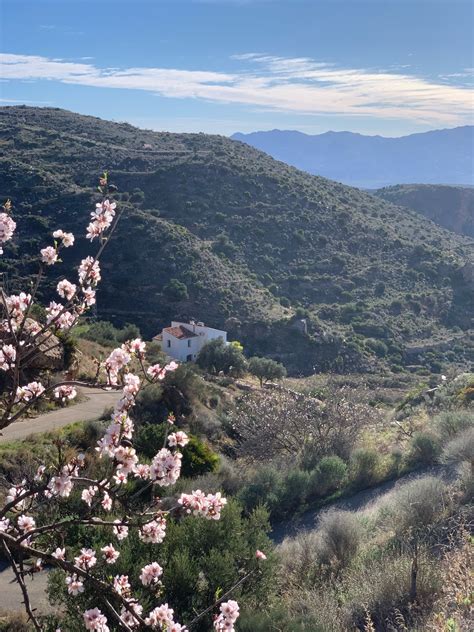 A Creative Week in Spain | Not In The GuideBooks
