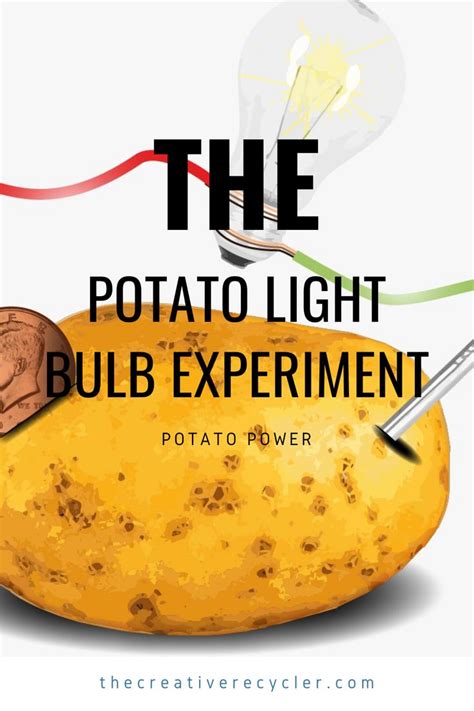 A Guide To The Potato Light Bulb Experiment 1 2 Potato Potato