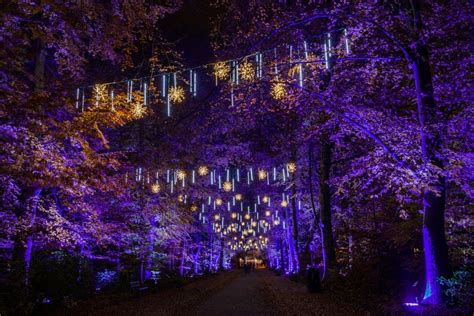 Christmas Garden Chorzów Ogród Świateł W Chorzowie Pikkatowicepl