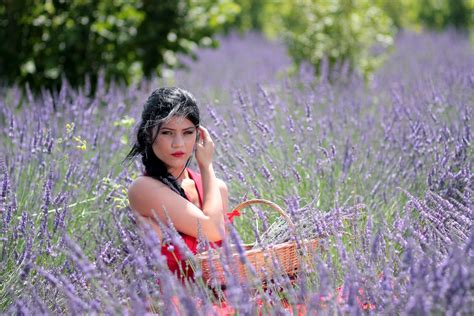 Free Images Nature Grass Girl Field Lawn Meadow Sunlight