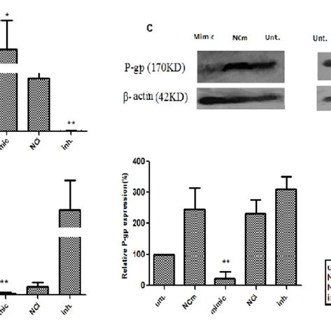 MiR 223 3p Decreases P Gp Expression In HepG2 Dox Cells A QRT PCR