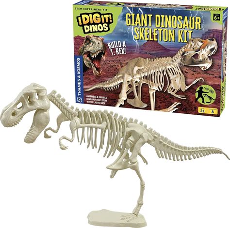 Thames Kosmos Kit De Esqueleto De Dinosaurio Gigante Actividad Stem