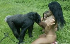 Monkey Porn Pics