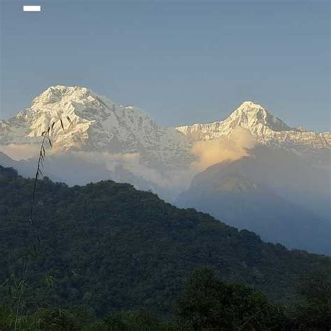 Da Pokhara Trekking Panoramico Del Campo Base Dell Annapurna Di 7