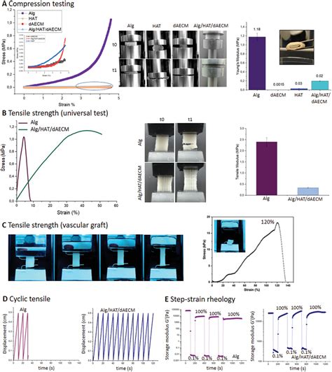 3D Printing Of Extracellular MatrixBased Multicomponent AllNatural